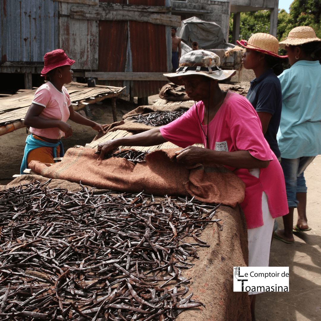 Producteur de vanille bourbon de Madagascar